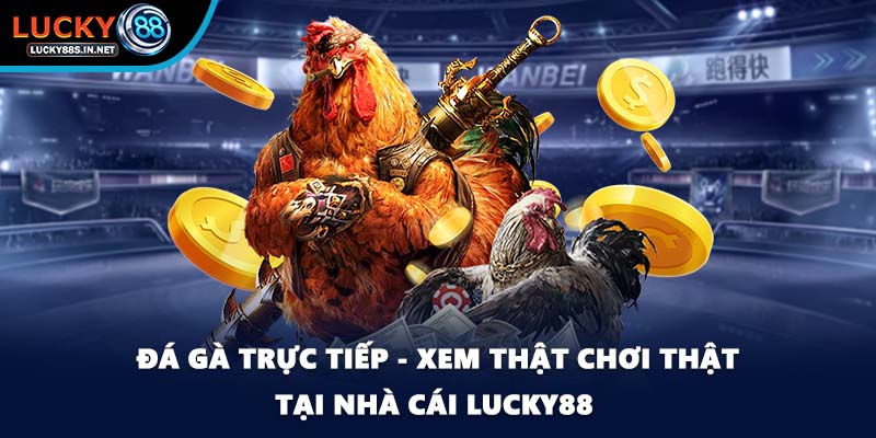 Đá gà trực tiếp - Xem Thật Chơi Thật Tại Nhà Cái Lucky88 