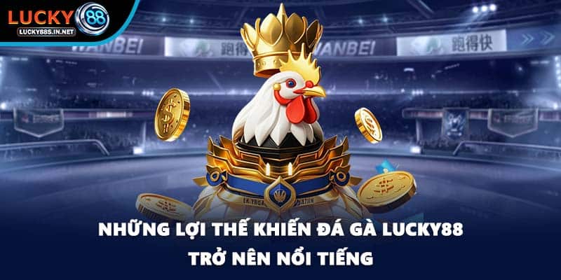 Những lợi thế khiến đá gà Lucky88 trở nên nổi tiếng