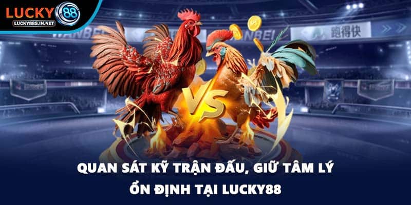 Quan sát kỹ trận đấu, giữ tâm lý ổn định tại Lucky88